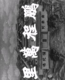 假如我是真的1981封面图