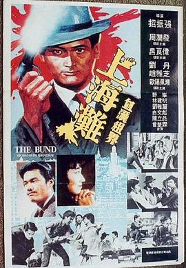 假如我是真的1981封面图