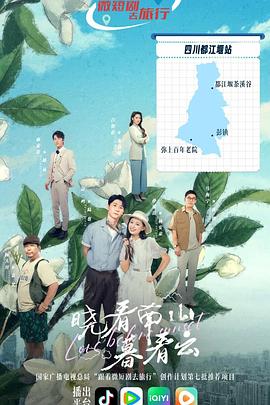 假如我是真的1981封面图